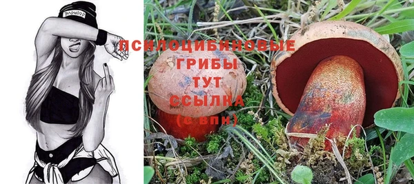 mix Алексин