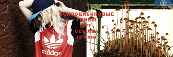крисы Алексеевка
