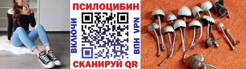 Псилоцибиновые грибы Magic Shrooms  Балей 